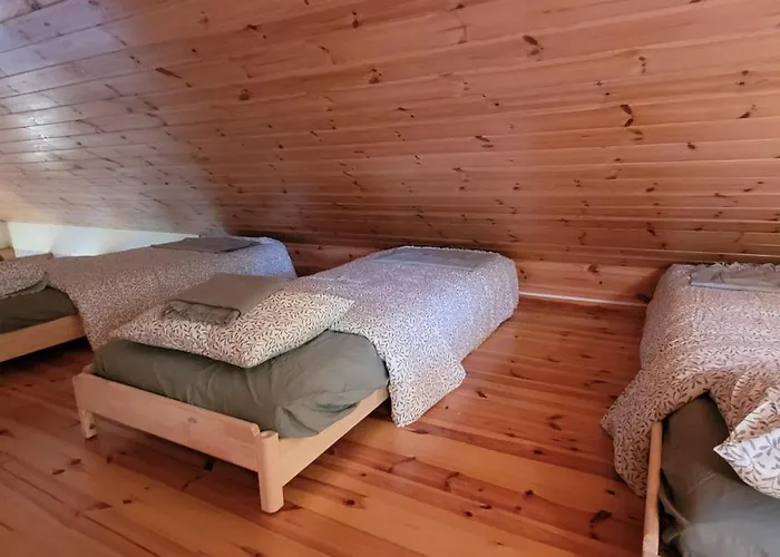 Daire Nurmenuku Suvemaja Tallinn